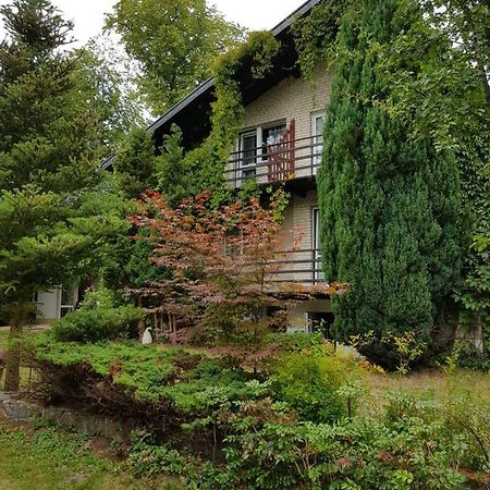 Pokoje I Apartamenty Przy Sosnowej Poddąbie 外观 照片