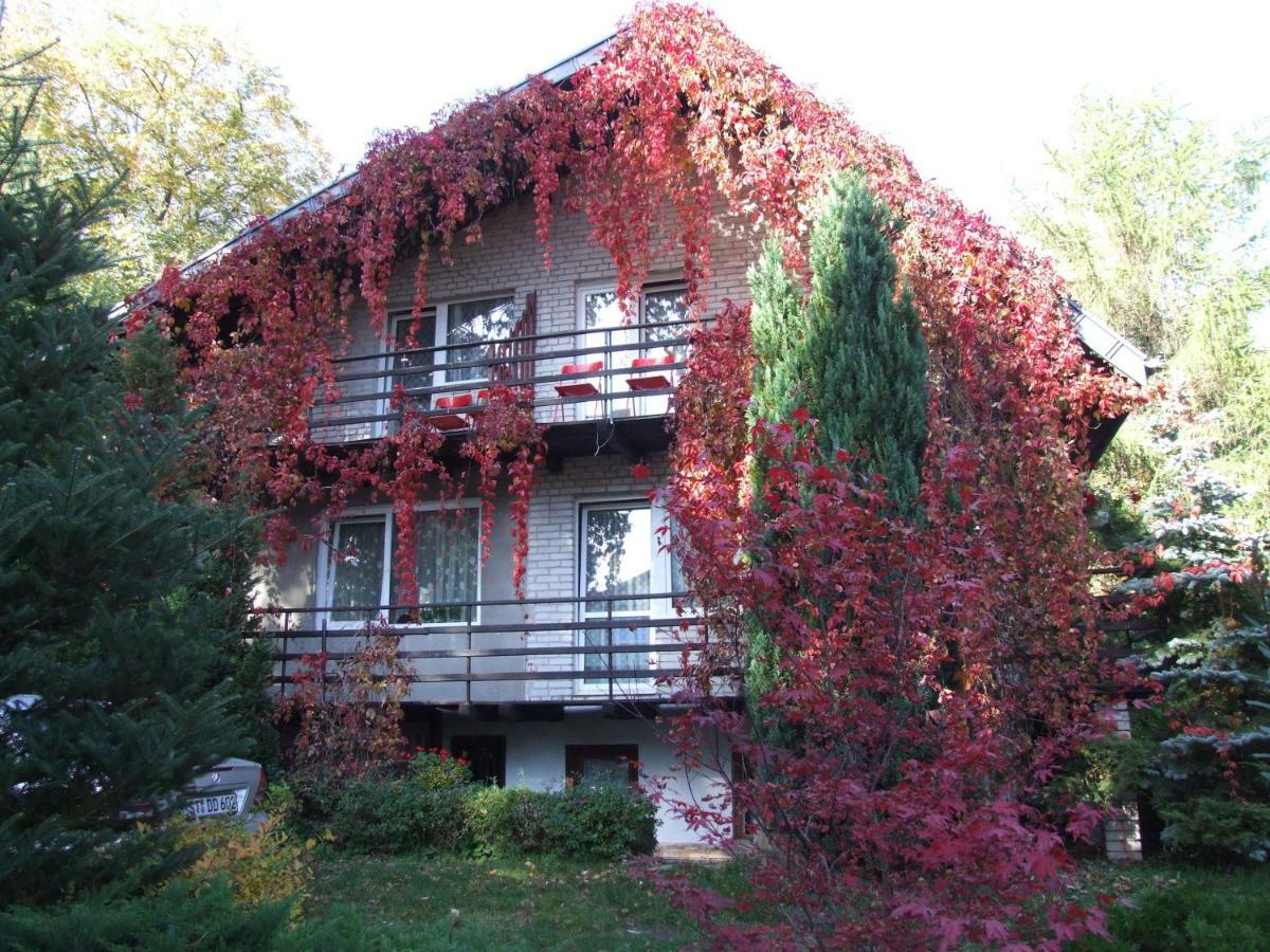 Pokoje I Apartamenty Przy Sosnowej Poddąbie 外观 照片
