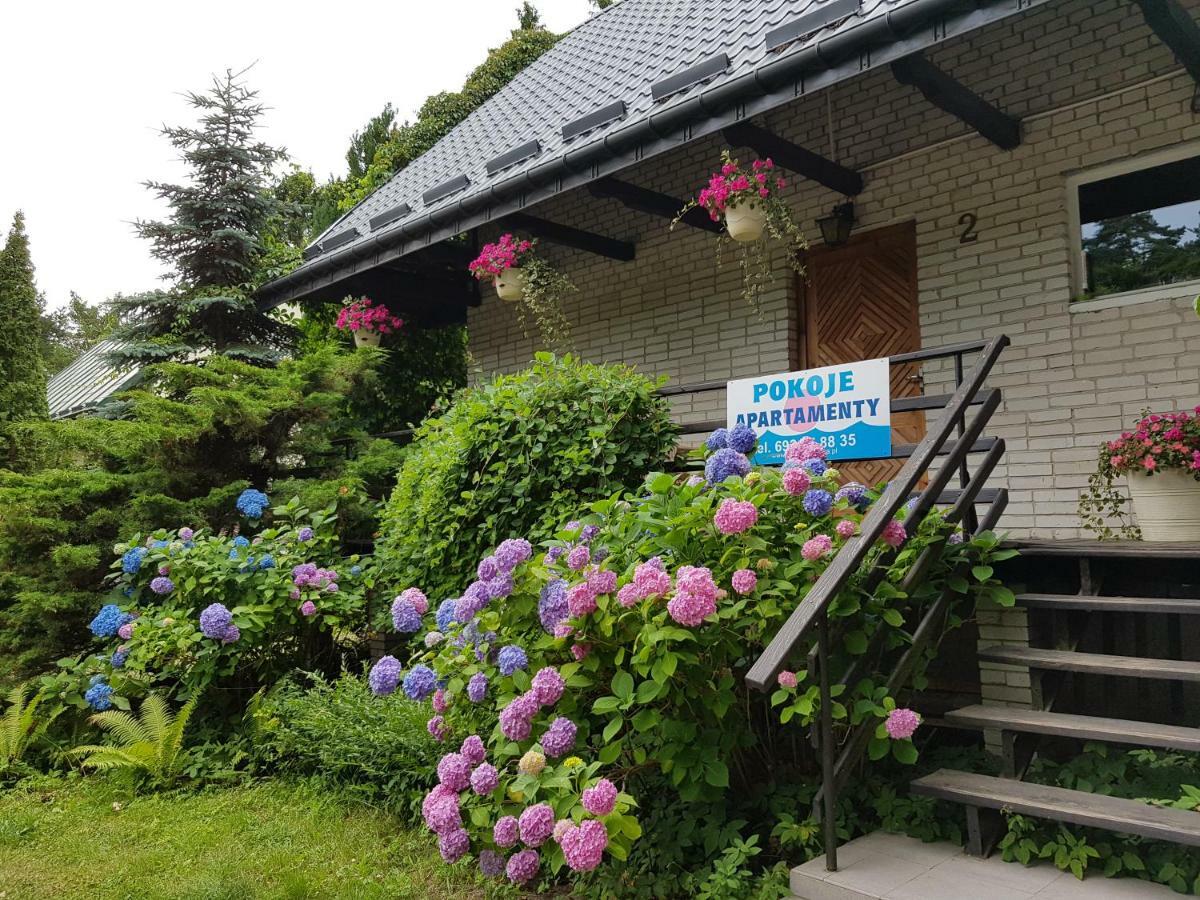 Pokoje I Apartamenty Przy Sosnowej Poddąbie 外观 照片